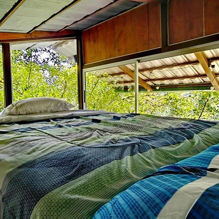 Cabana Treehouse Mountain View San Isidro  Extérieur photo