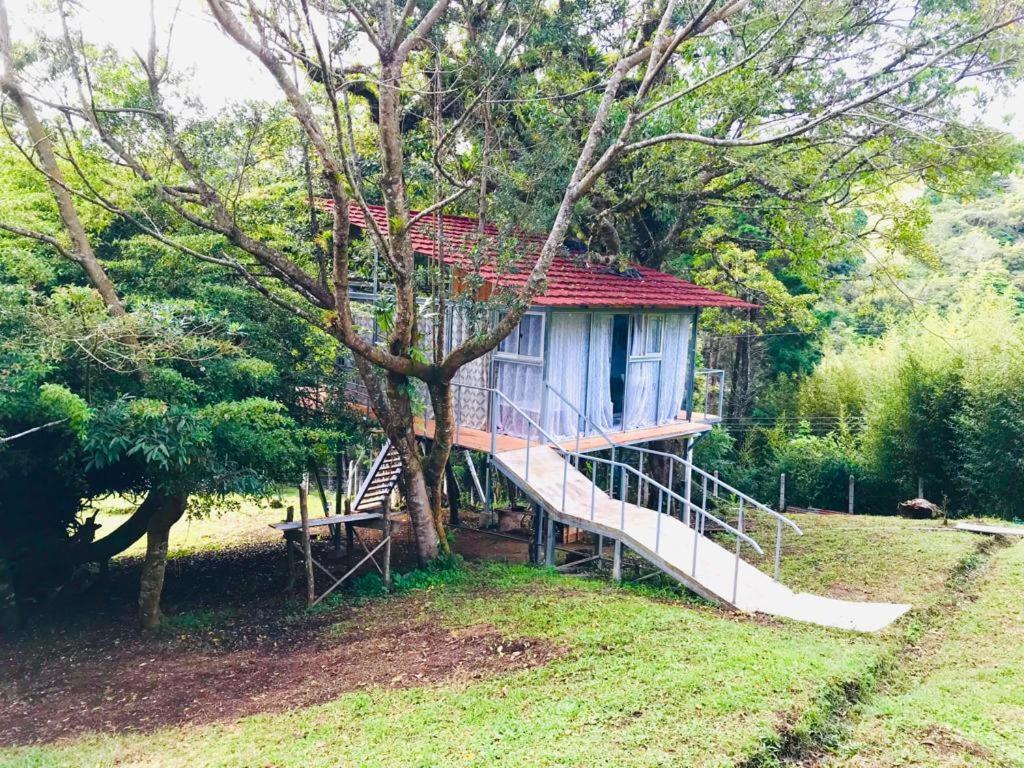 Cabana Treehouse Mountain View San Isidro  Extérieur photo