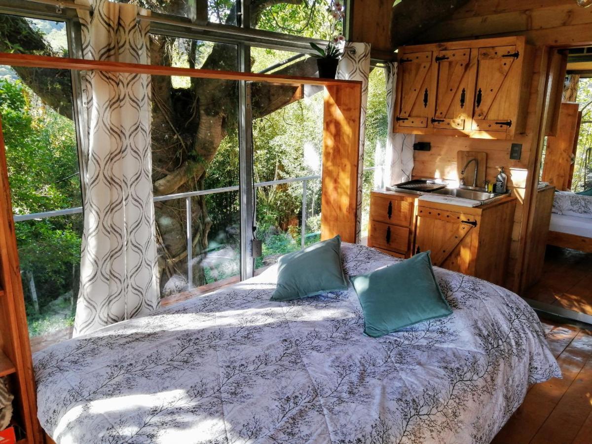 Cabana Treehouse Mountain View San Isidro  Extérieur photo