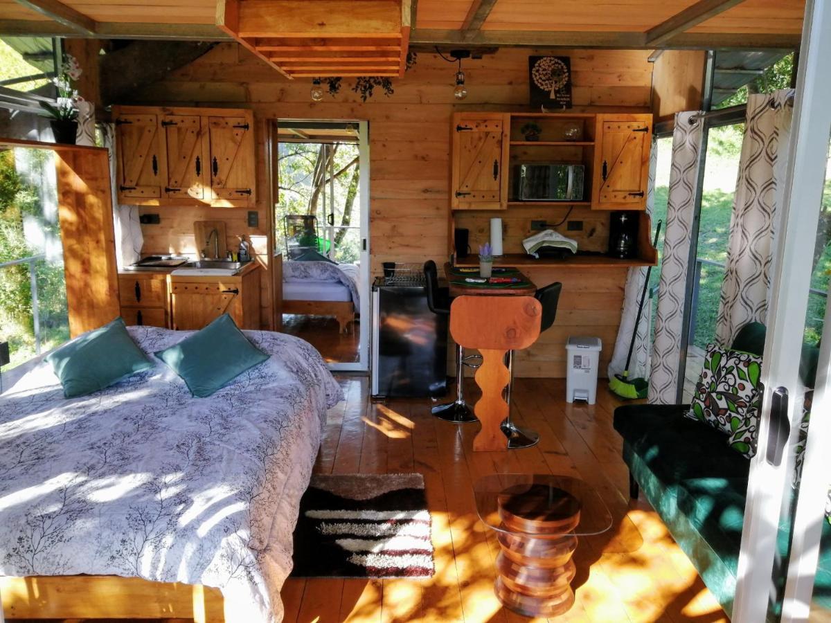 Cabana Treehouse Mountain View San Isidro  Extérieur photo