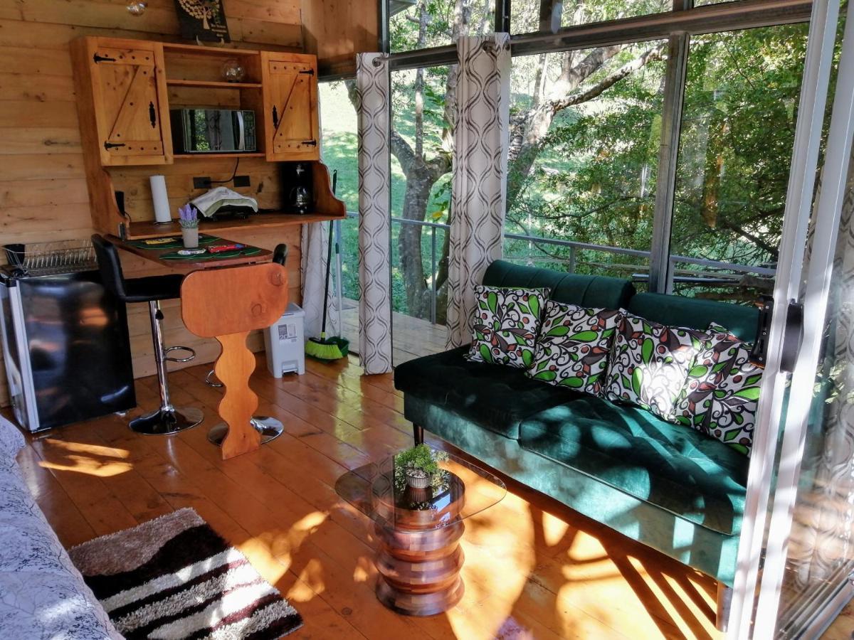 Cabana Treehouse Mountain View San Isidro  Extérieur photo